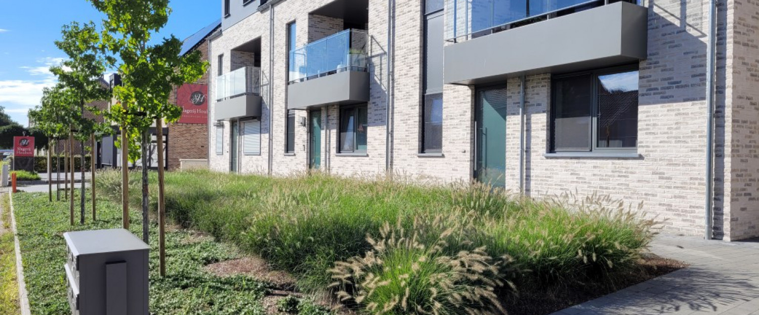 slider-image